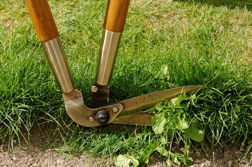 edging-shears