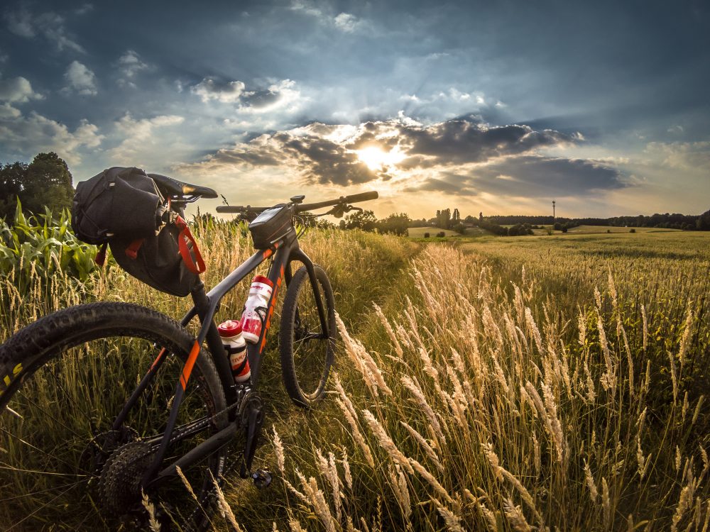 bike  on a green grass