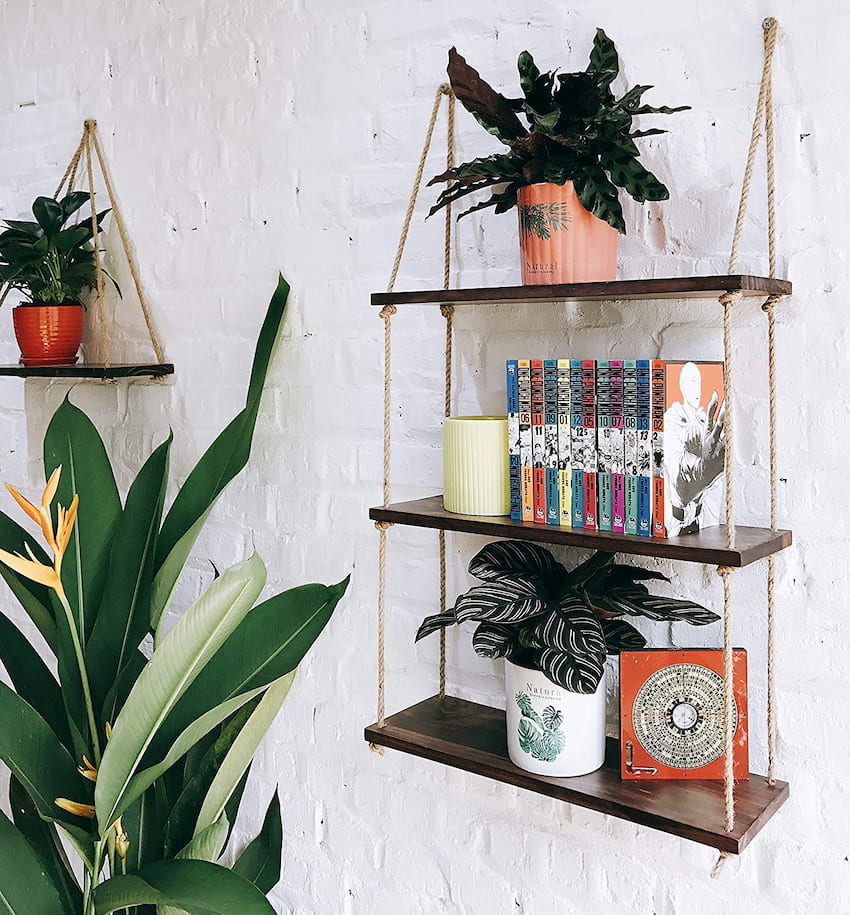 wall shelves with plants and books