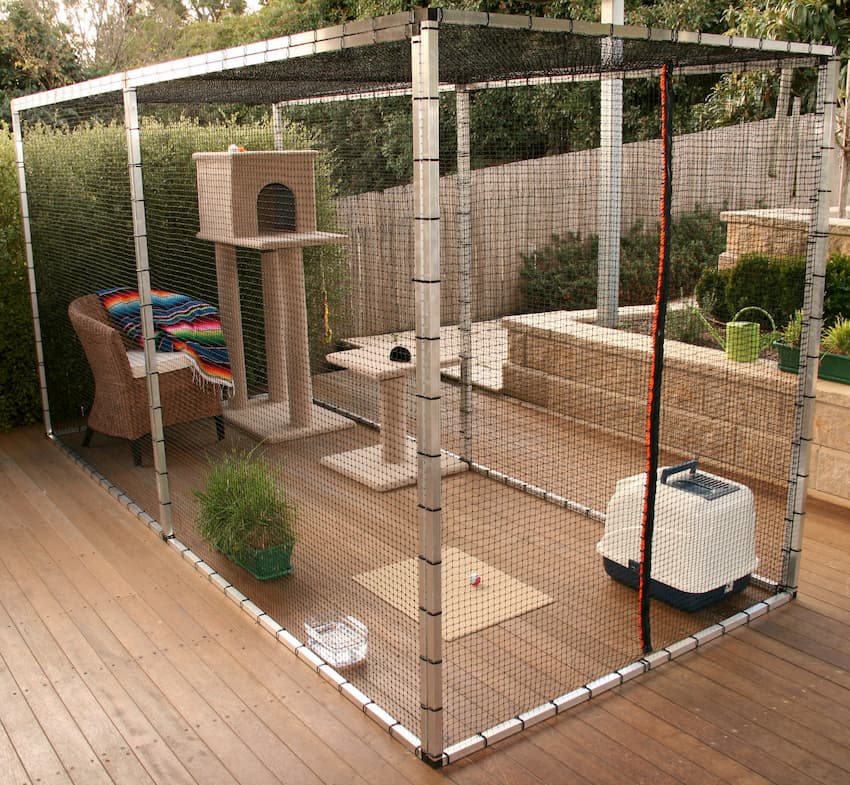 outdoor cat enclosure