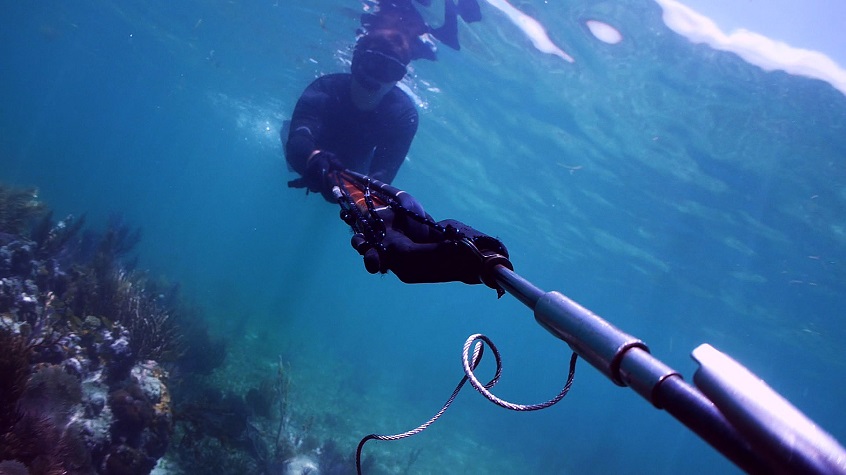 Essential Pieces of Spearfishing Equipment - LovingLocal