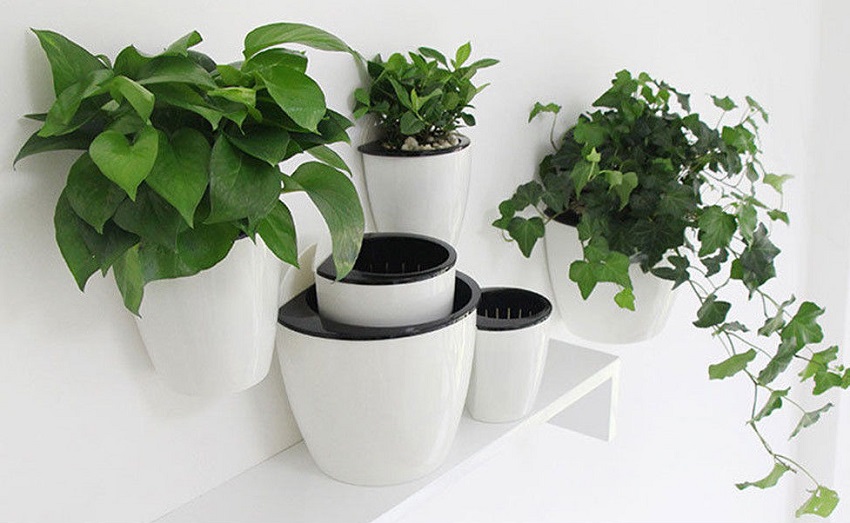 self-watering-pot