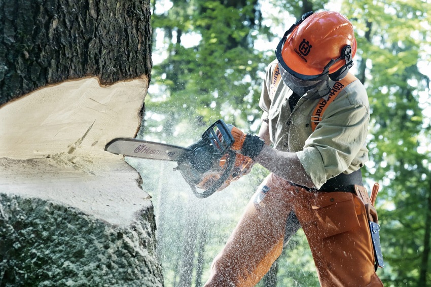 Your Ideal Chainsaw