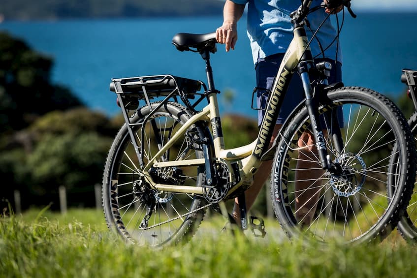 cargo-e-bike