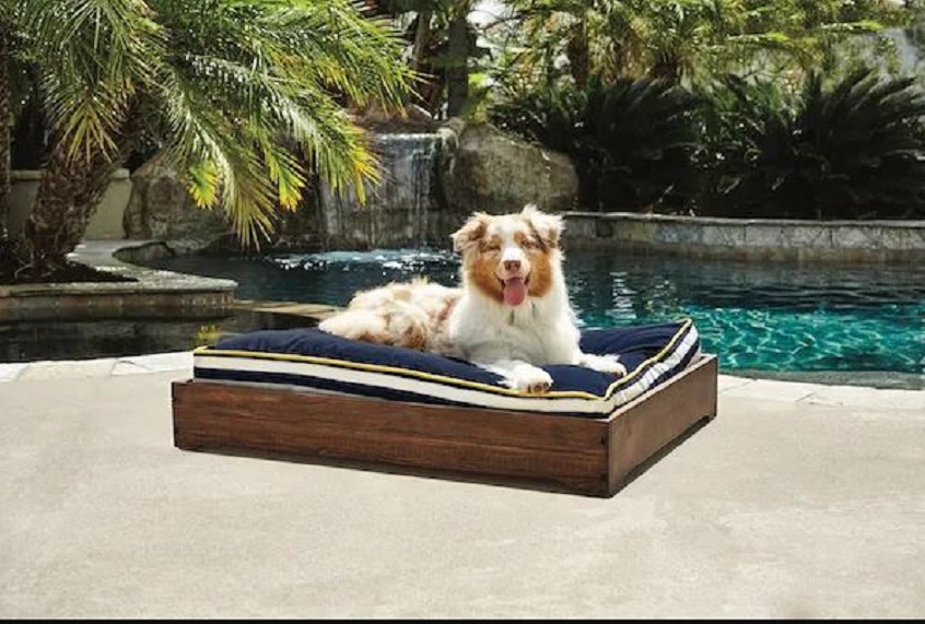 Do Dogs Realy Like Dog Beds