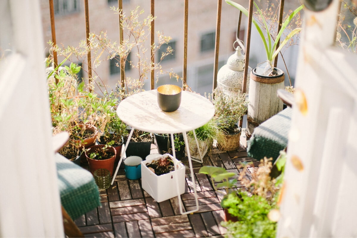 balcony with cute plants