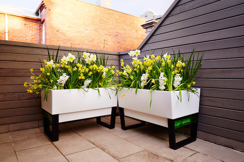 self watering balcony planters