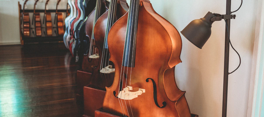 Double Bass Models