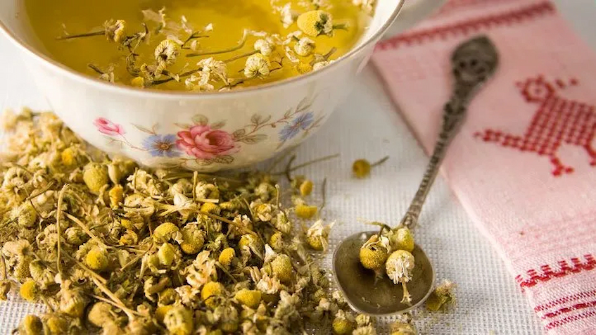 all-about-chamomile