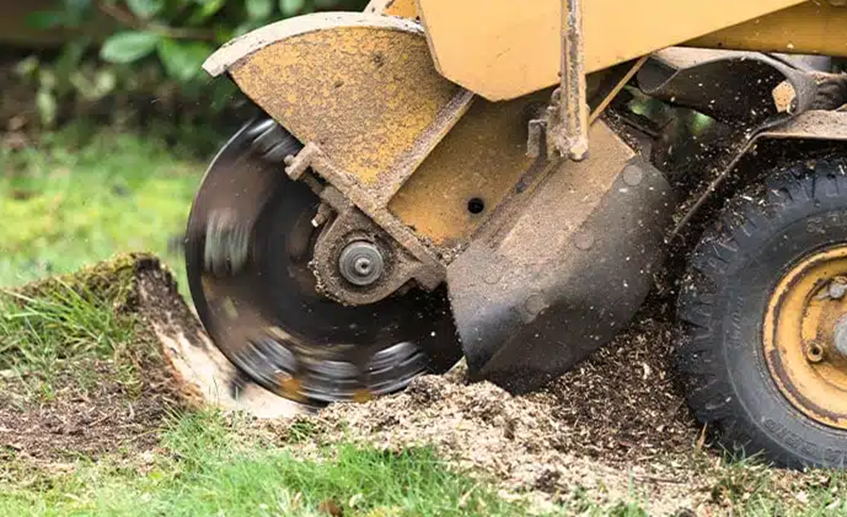 Stump grinder