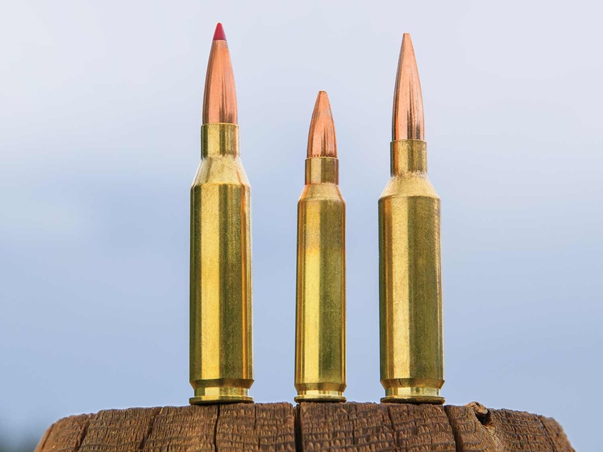 hunting rifle ammo